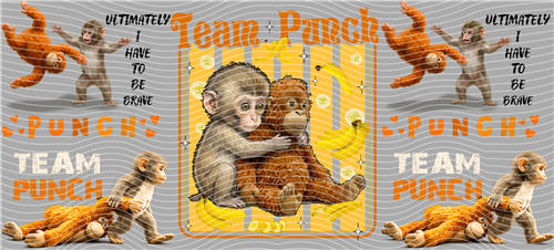 16oz Latest Bestseller-C 8277